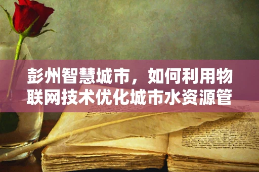 彭州智慧城市，如何利用物联网技术优化城市水资源管理？