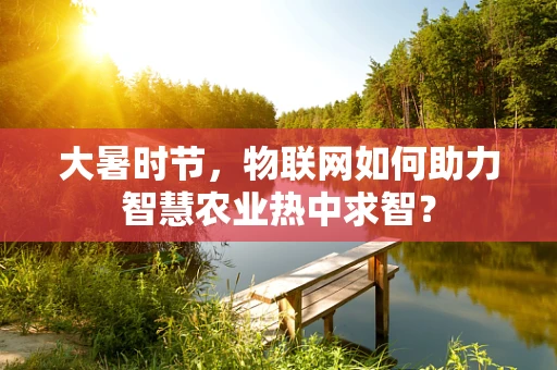 大暑时节，物联网如何助力智慧农业热中求智？