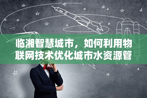 临湘智慧城市，如何利用物联网技术优化城市水资源管理？