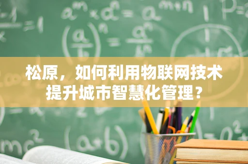 松原，如何利用物联网技术提升城市智慧化管理？