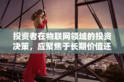 投资者在物联网领域的投资决策，应聚焦于长期价值还是短期回报？
