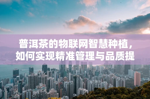 普洱茶的物联网智慧种植，如何实现精准管理与品质提升？