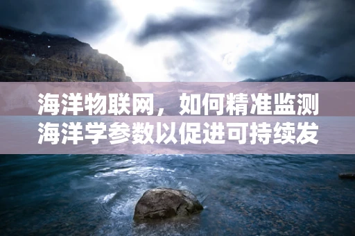 海洋物联网，如何精准监测海洋学参数以促进可持续发展？