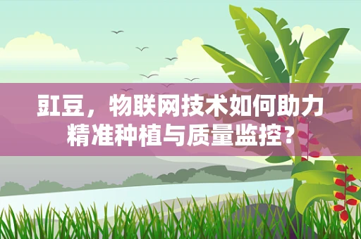 豇豆，物联网技术如何助力精准种植与质量监控？