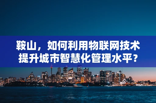鞍山，如何利用物联网技术提升城市智慧化管理水平？