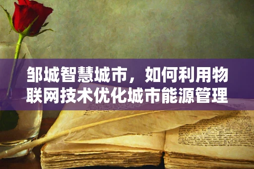邹城智慧城市，如何利用物联网技术优化城市能源管理？