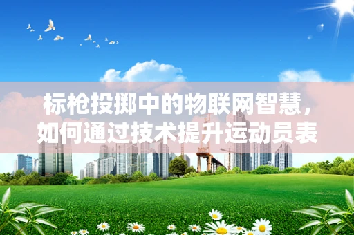 标枪投掷中的物联网智慧，如何通过技术提升运动员表现？
