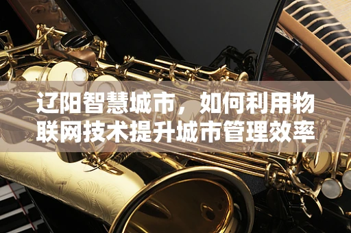 辽阳智慧城市，如何利用物联网技术提升城市管理效率？