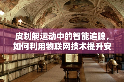 皮划艇运动中的智能追踪，如何利用物联网技术提升安全与效率？
