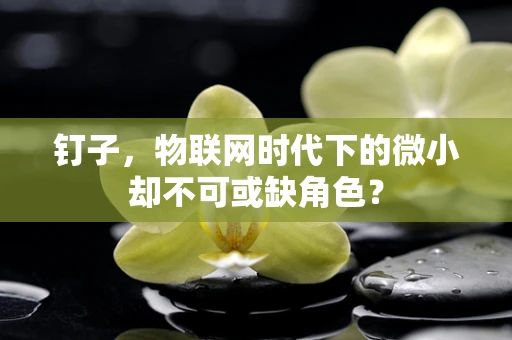 钉子，物联网时代下的微小却不可或缺角色？