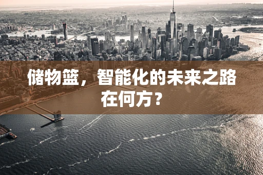 储物篮，智能化的未来之路在何方？