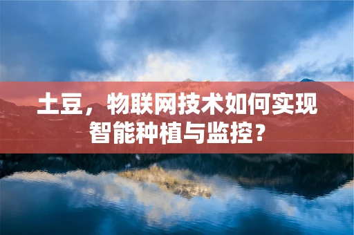 土豆，物联网技术如何实现智能种植与监控？
