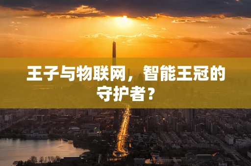 王子与物联网，智能王冠的守护者？
