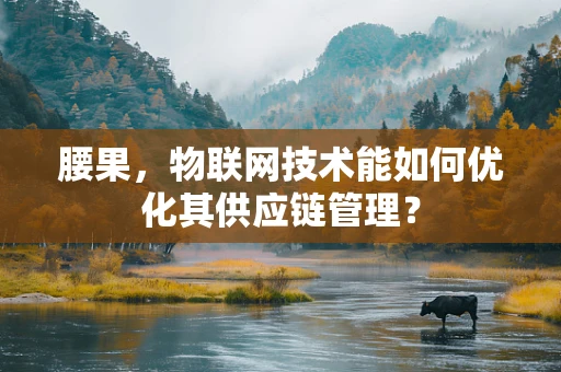 腰果，物联网技术能如何优化其供应链管理？