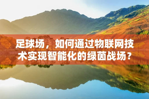 足球场，如何通过物联网技术实现智能化的绿茵战场？