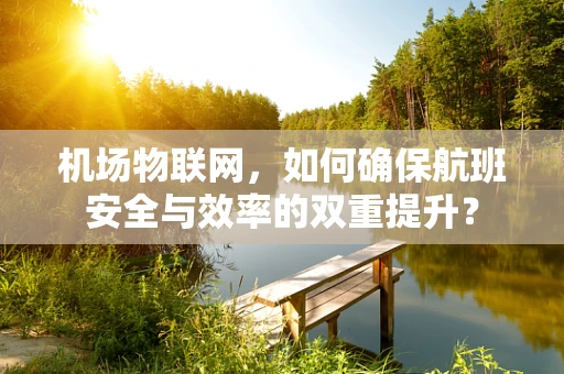 机场物联网，如何确保航班安全与效率的双重提升？