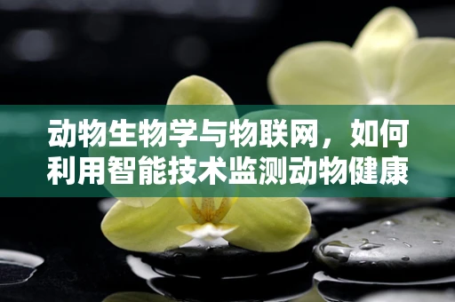 动物生物学与物联网，如何利用智能技术监测动物健康？